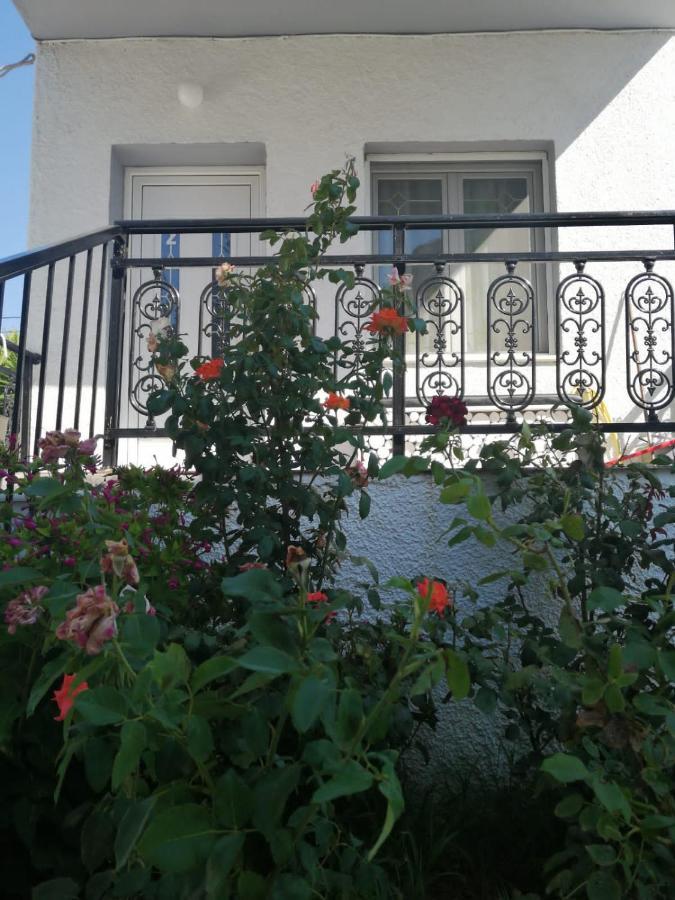 Alexander Apartments Nea Koutali Exterior photo